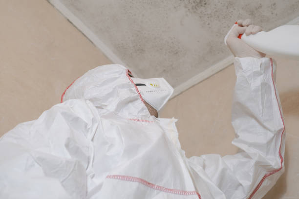 Best Mold Odor Removal Services  in Healdton, OK